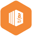 AWS EC2 logo